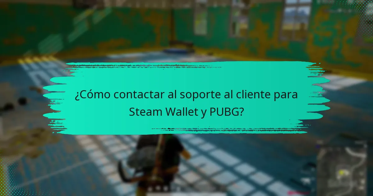 ¿Cómo solucionar problemas con Steam Wallet en PUBG?