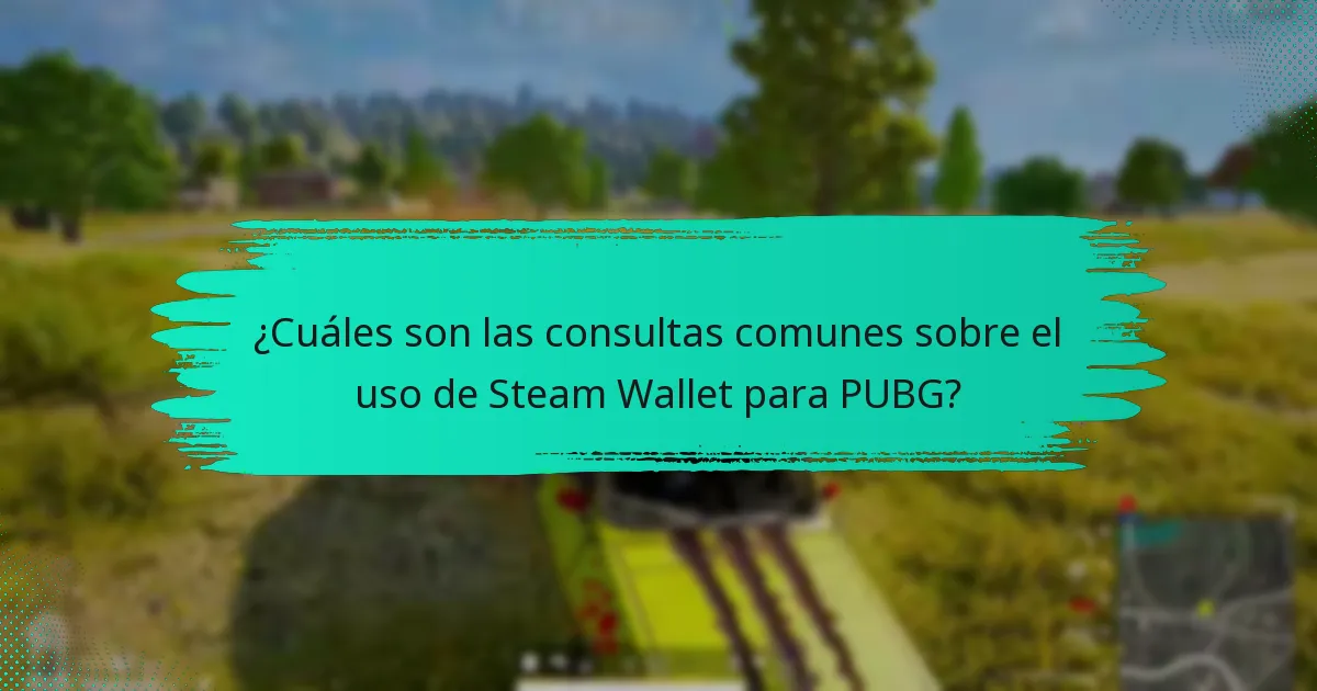 ¿Cuáles son las políticas sobre el uso de Steam Wallet para PUBG?