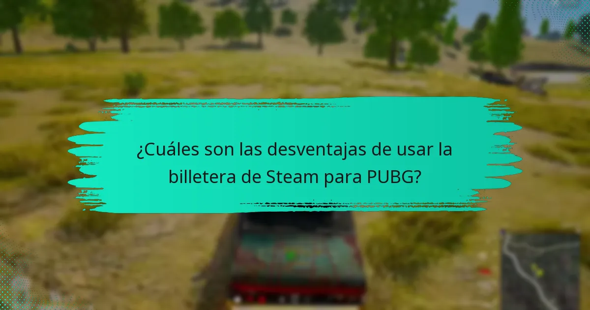 ¿Cómo se compara la billetera de Steam con las tarjetas de crédito/débito para PUBG?