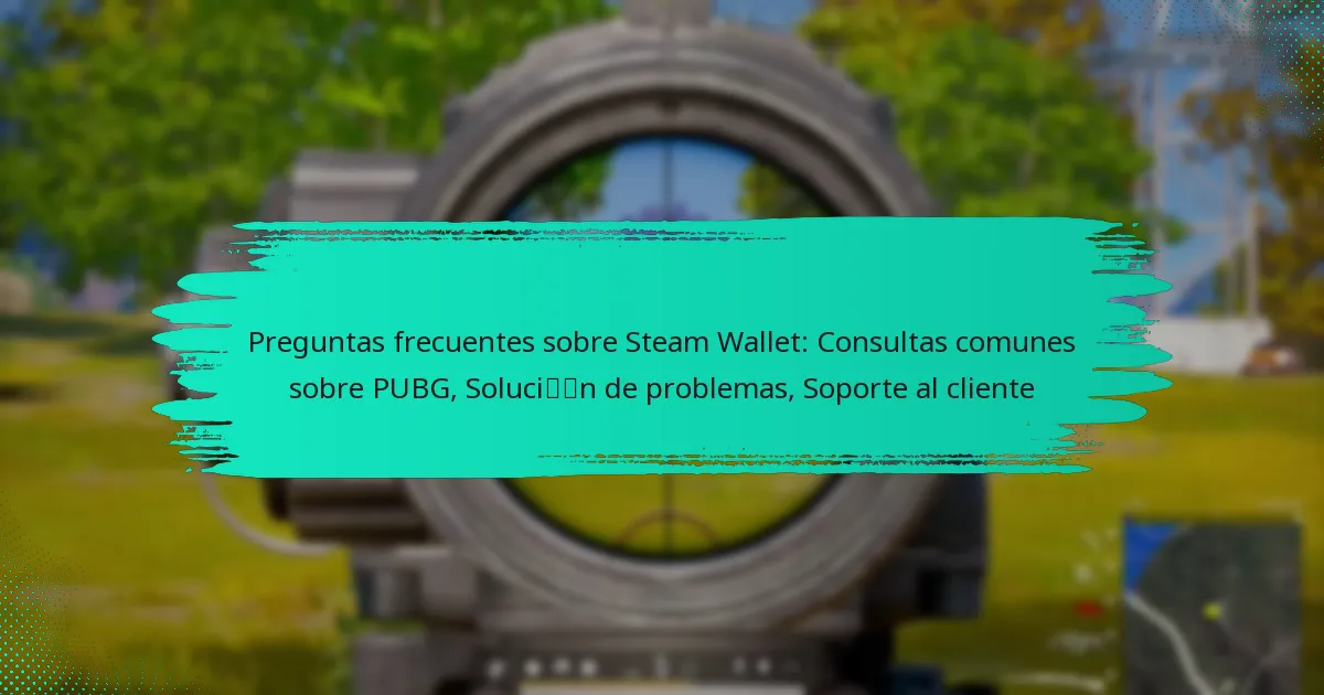Preguntas frecuentes sobre Steam Wallet: Consultas comunes sobre PUBG, Solución de problemas, Soporte al cliente
