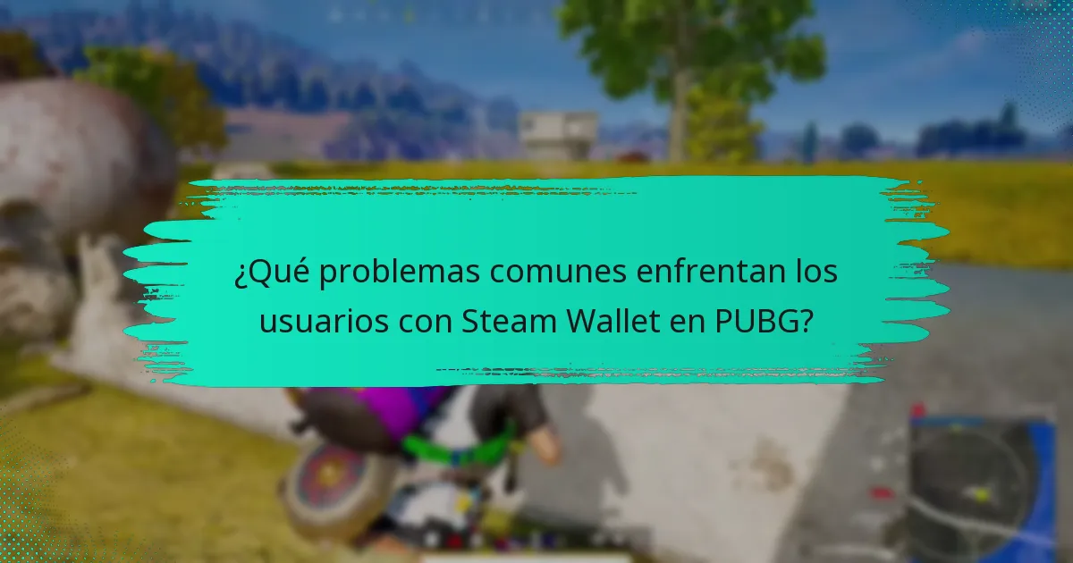 ¿Qué problemas comunes enfrentan los usuarios con Steam Wallet en PUBG?